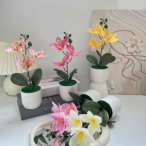 Composizione orchidea - composizione,