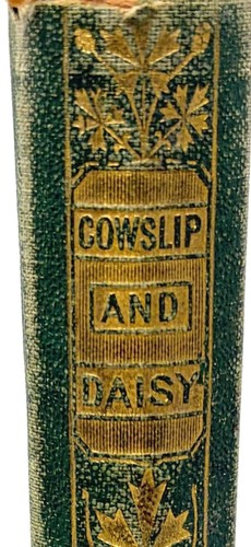 The cowslip more cautionary - the,