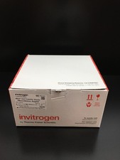 Invitrogen REF IB301001 iBlot Gel Transfer Stack Nitrocellulosa Taglia Regolare