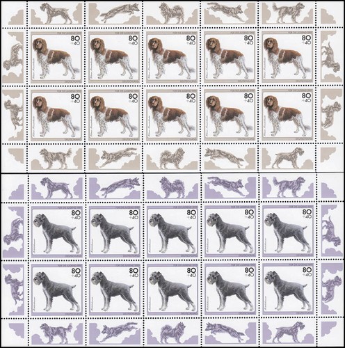 1797 1801 cani della gioventù - 1797-1801,