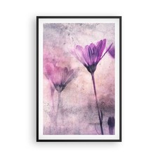 Poster 61x91cm fiori - 61x91cm, rosa