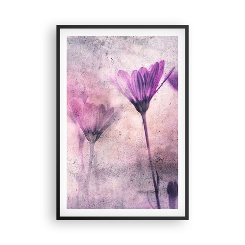Poster 61x91cm fiori - poster,