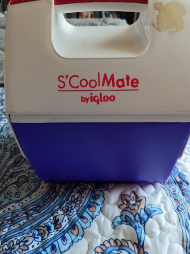 Mini cooler vintage - mini,