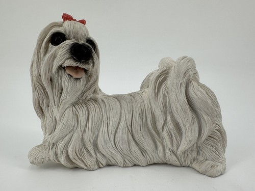 Statuina cane maltese - , in