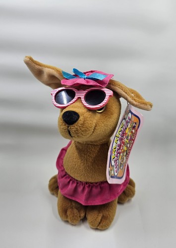 Talking chihuahuas with tag - chihuahuas,