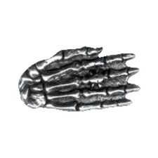 Scheletro mano pin - scheletro,