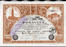 Certificato azionario Società