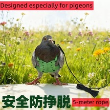 Imbracatura volo piccioni