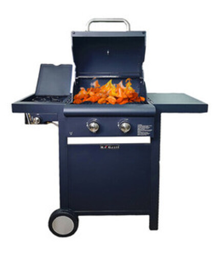 Barbecue gas o - gas,