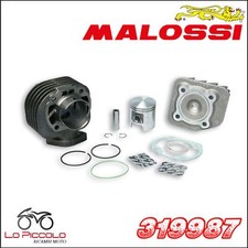 Malossi gruppo termico - gruppo,