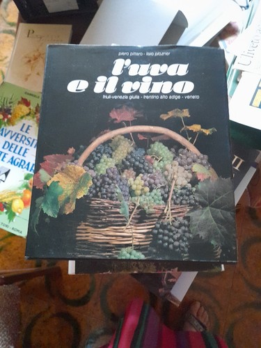 Uva vino piero pittaro - e,