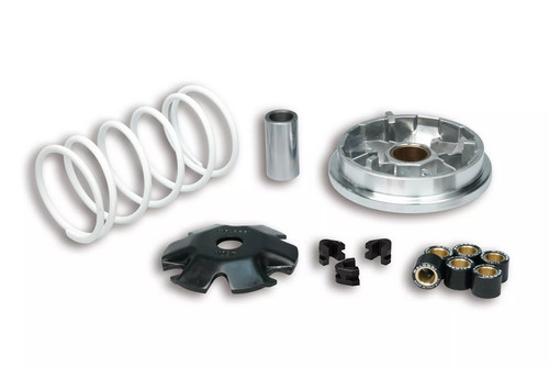 Variatore malossi multivar - variatore,