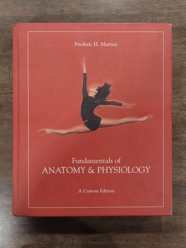 Fundamentals anatomy - of, &