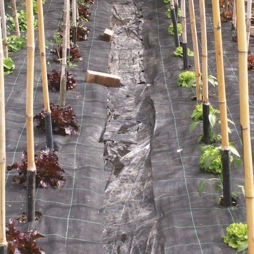 Telo pacciamatura verde - pacciamatura, per