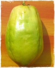 Pianta di GRANADILLA GIGANTE