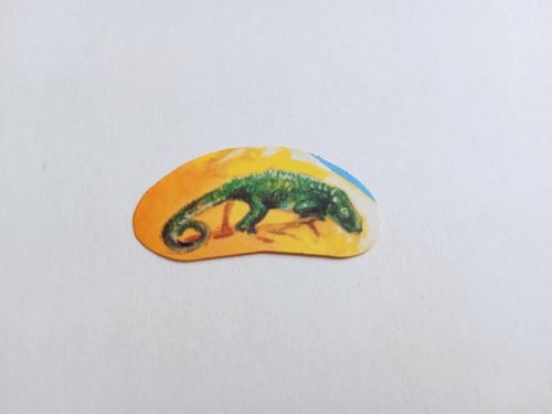 Figurina mondo degli - il,