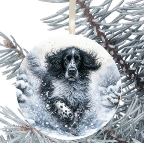 Setter inglese cane regalo