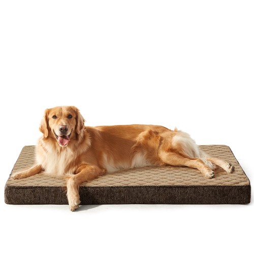 Cuccia cane interno taglia - cane,
