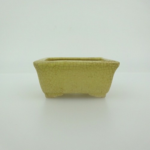 Vaso per bonsai - , giapponese
