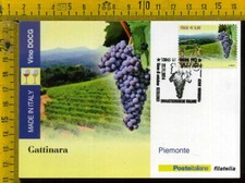 Cartolina FDC Maximum Card 2014 Vino Gattinara pv 064
