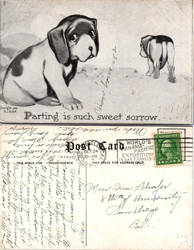 Cartolina triste basset hound - basset,