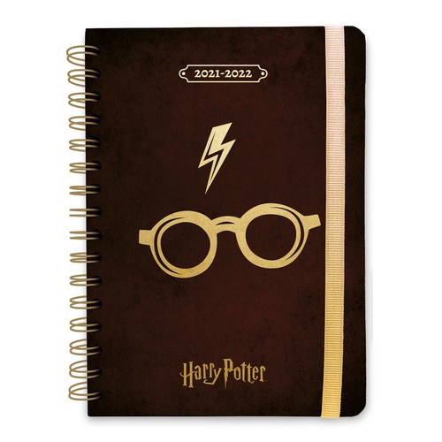 Harry potter diario - harry,