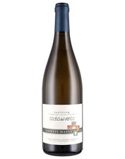 DERTHONA TIMORASSO COSTA DEL