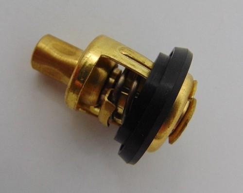 Termostato per fuoribordo