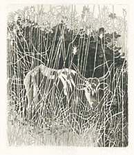 GROSSO GIUSEPPE -MAREMMA  I -