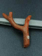 Ramo di corallo arancione