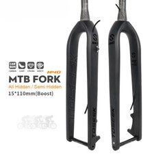 Forcella anteriore rigida