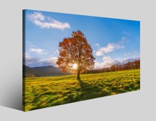 Quadri tramonti e paesaggi