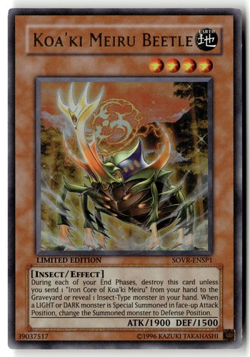 Koa meiru beetle - koa'ki,