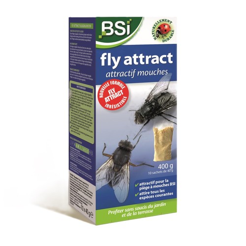 Bsi attraente mosche - bsi,