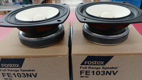 Coppia altoparlanti fostex - di,