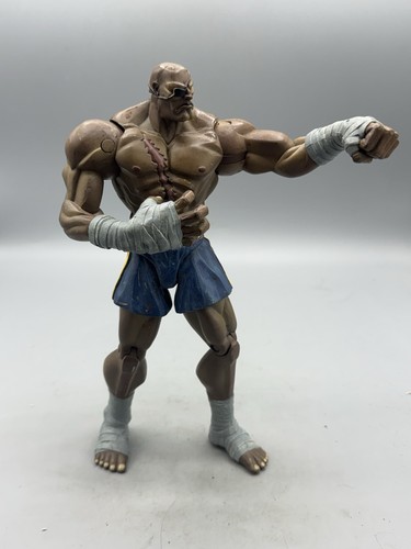 Street fighter sagat - sagat, round