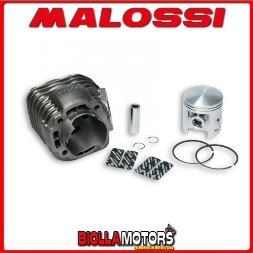 3111374 gruppo termico malossi - 3111374,