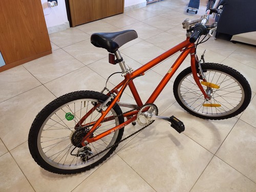 Bicicletta mountain bike - mountain,