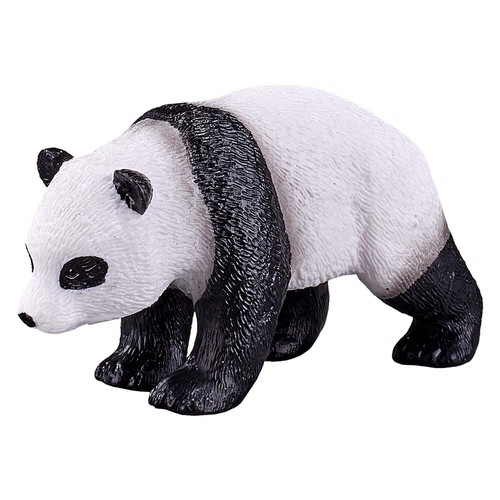 Panda bambino wildlife - panda, zoo