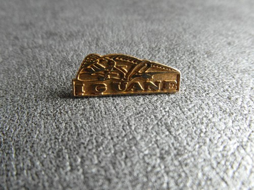 Rara spilla pin iguana - rara,