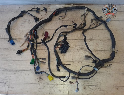 Faisceau electrique suzuki 800 - faisceau,