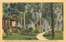 1930s Kaibab Forest Arizona De