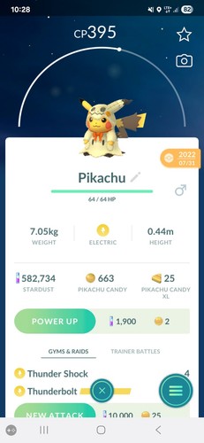 Costume pokemon pikachu - costume,