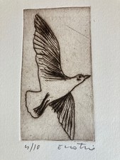 Enotrio Pugliese, Gabbiano