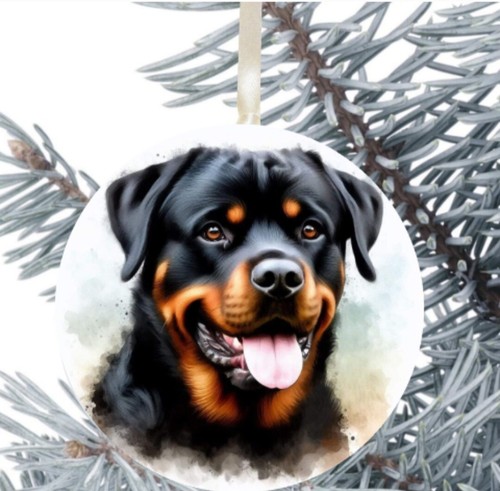 Rottweiler cucciolo cane - cucciolo,
