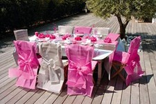 Santex 2931 Copertura della