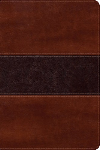 Reina valera 1960 biblia - reina,