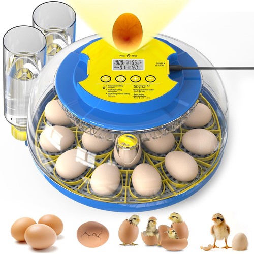 Cieex egg incubator - cieex, 18