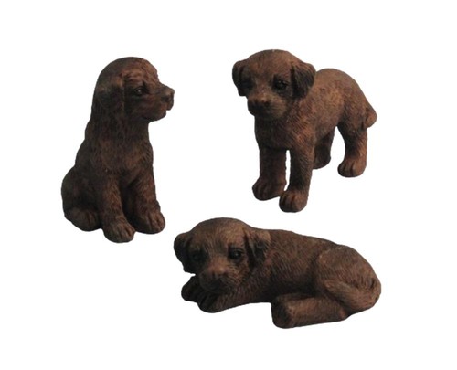 Cuccioli labrador cioccolato - cuccioli,