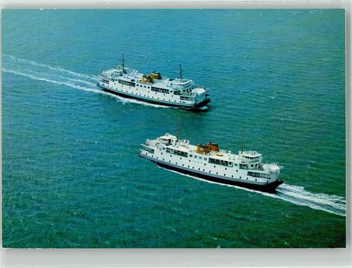 39894702 alfauna texel den - 39894702,